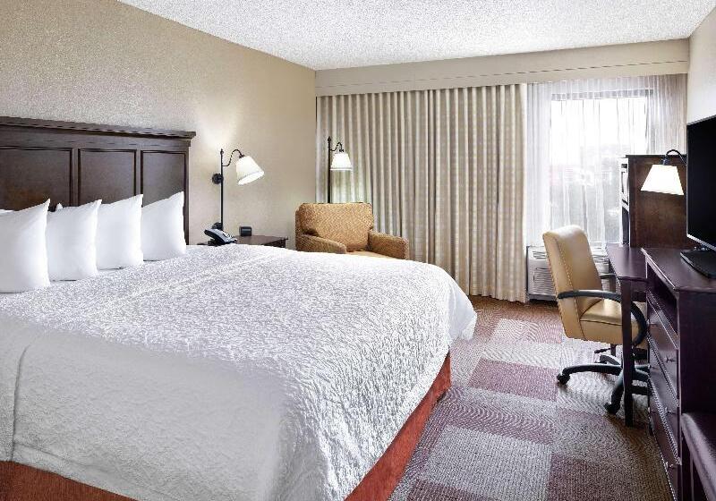 스탠다드 룸 킹사이즈 침대, Hampton Inn Dallasirvinglas Colinas