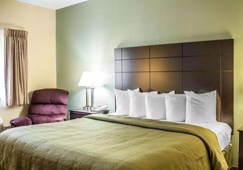 キングサイドベッドのスタンダードワンルーム, Hampton Inn Fairfax City