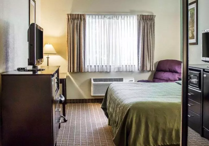 キングサイドベッドのスタンダードワンルーム, Hampton Inn Fairfax City