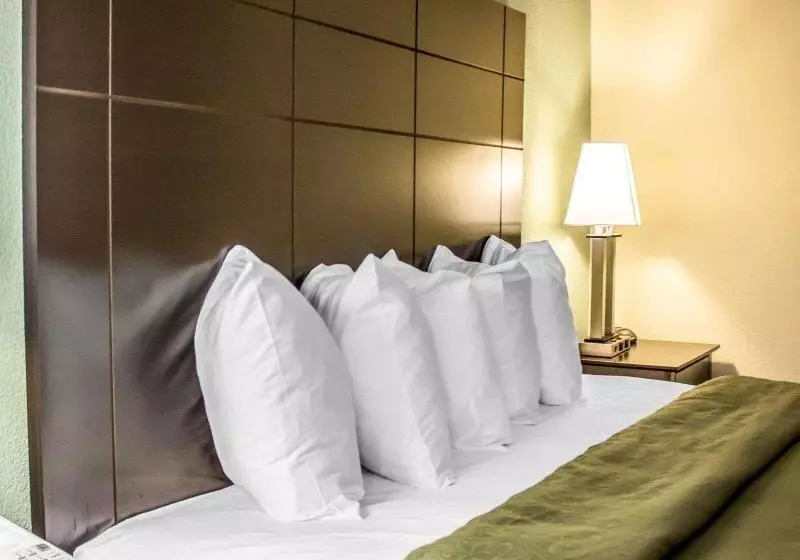 キングサイドベッドのスタンダードワンルーム, Hampton Inn Fairfax City