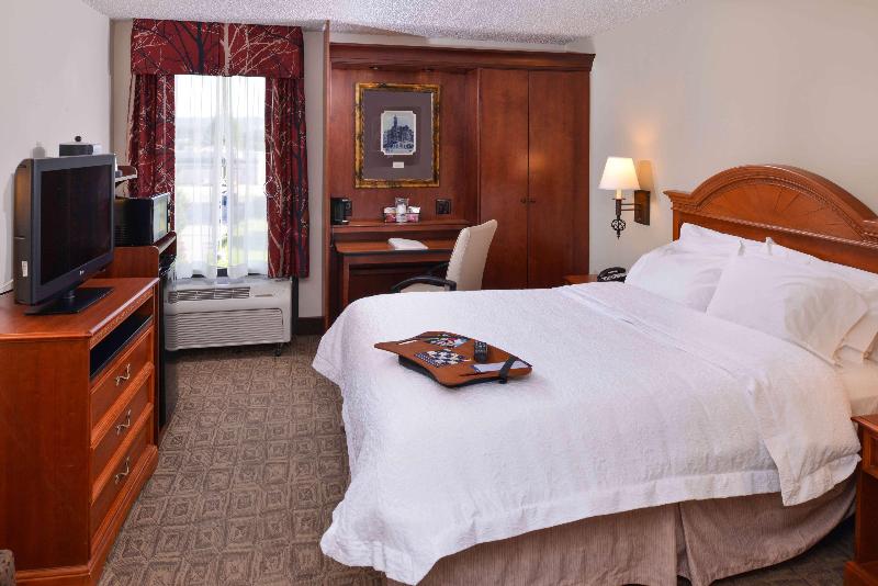 اتاق استاندارد با تخت بزرگ, Hampton Inn Gadsden