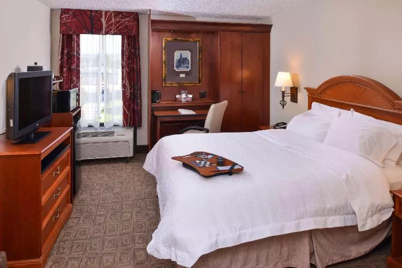 اتاق استاندارد با تخت بزرگ, Hampton Inn Gadsden