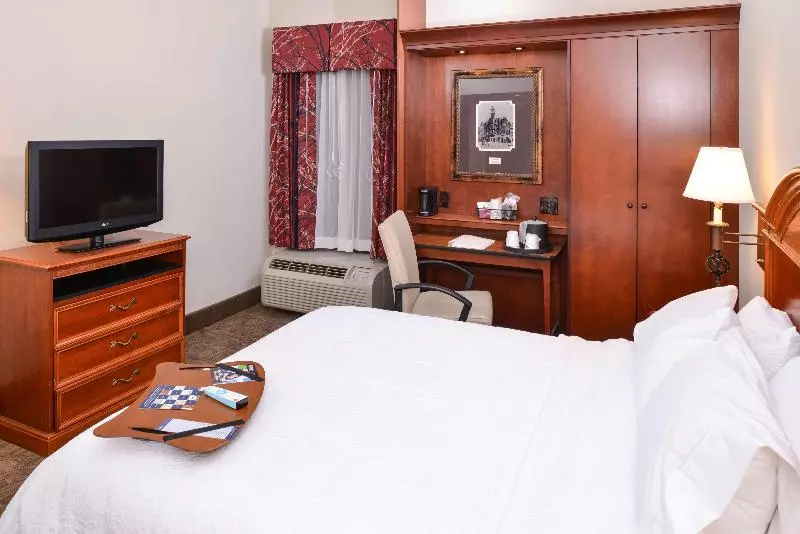 اتاق استاندارد با تخت بزرگ, Hampton Inn Gadsden