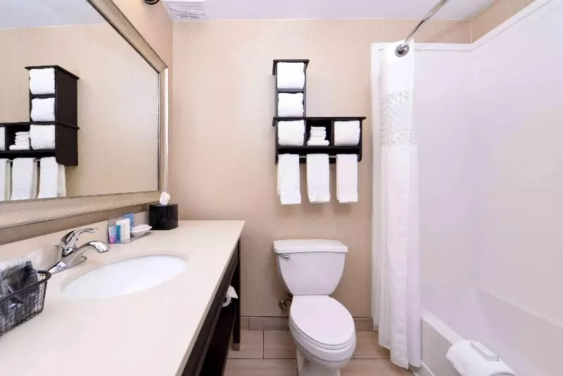 اتاق استاندارد با تخت بزرگ, Hampton Inn Gadsden