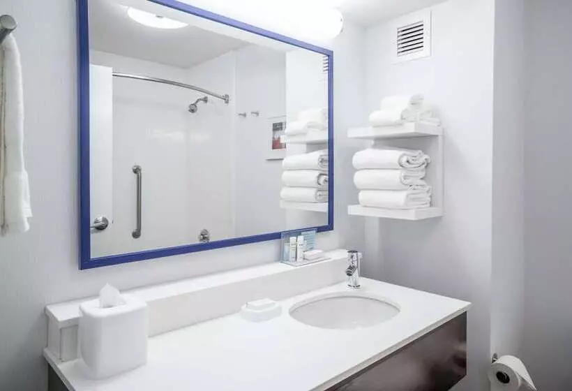 اتاق استاندارد با تخت بزرگ, Hampton Inn Madison Huntsville Airport