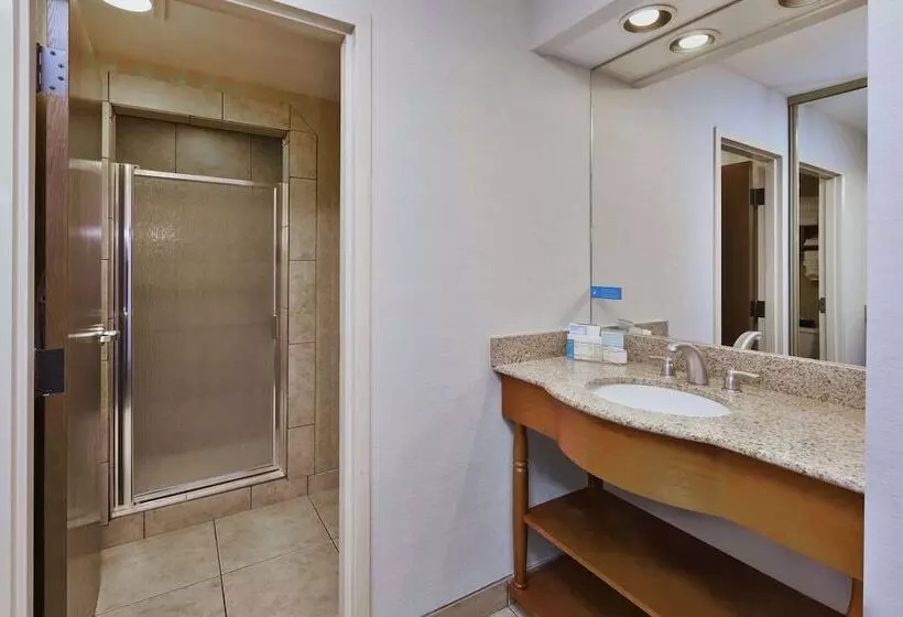 スイート, Hampton Inn Idaho Falls At The Mall