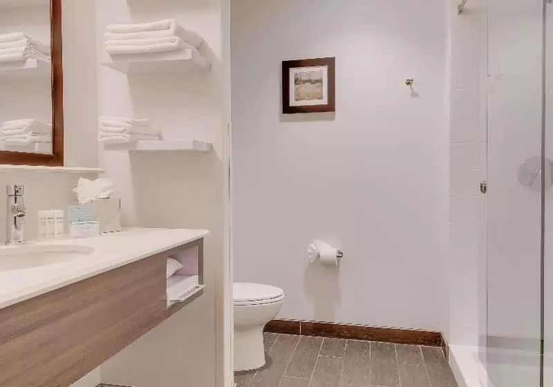 キングサイズベッドのスタンダードルーム, Hampton Inn Idaho Falls At The Mall