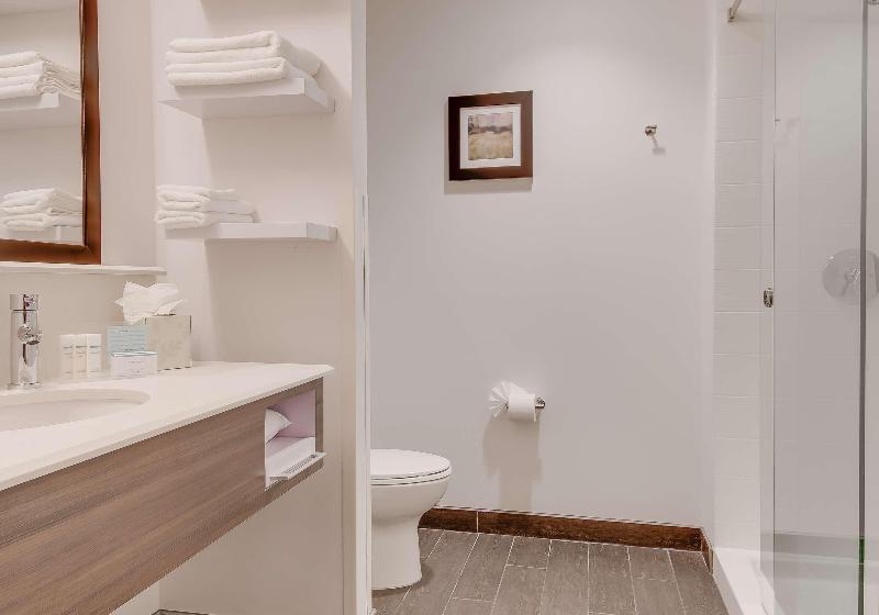 غرفة قياسية سرير كينج, Hampton Inn Idaho Falls At The Mall