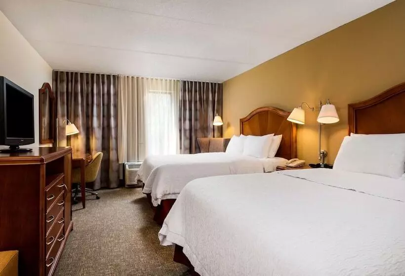 اتاق استاندارد با 2 تخت دوبل, Hampton Inn Roanoke/hollins I81