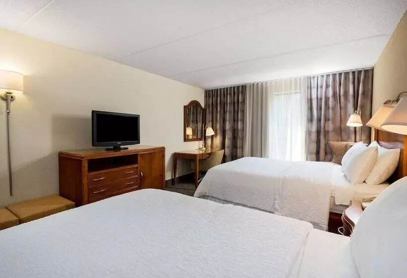 اتاق استاندارد با 2 تخت دوبل, Hampton Inn Roanoke/hollins I81