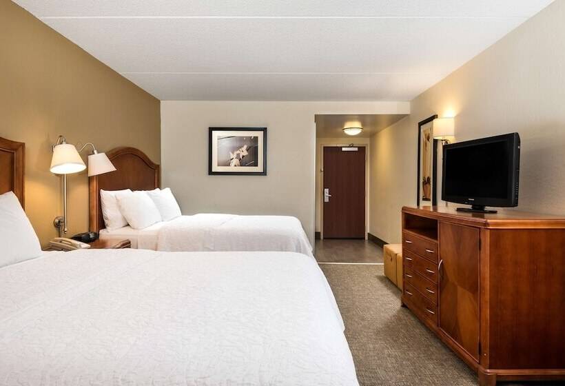 스탠다드 룸 더블 침대 2개, Hampton Inn Roanoke/hollins  I81