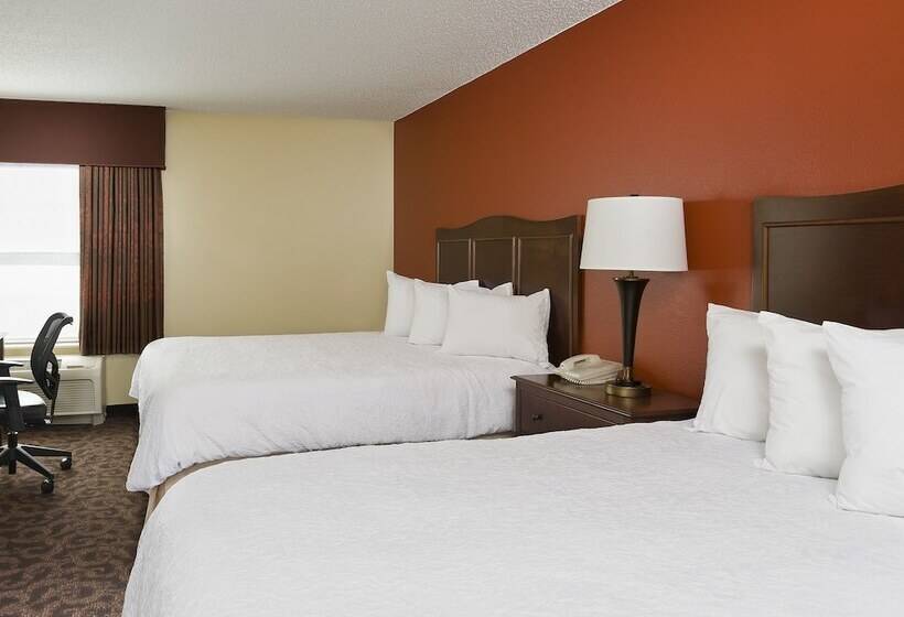 스탠다드 룸 더블 침대 2개, Hampton Inn San Angelo