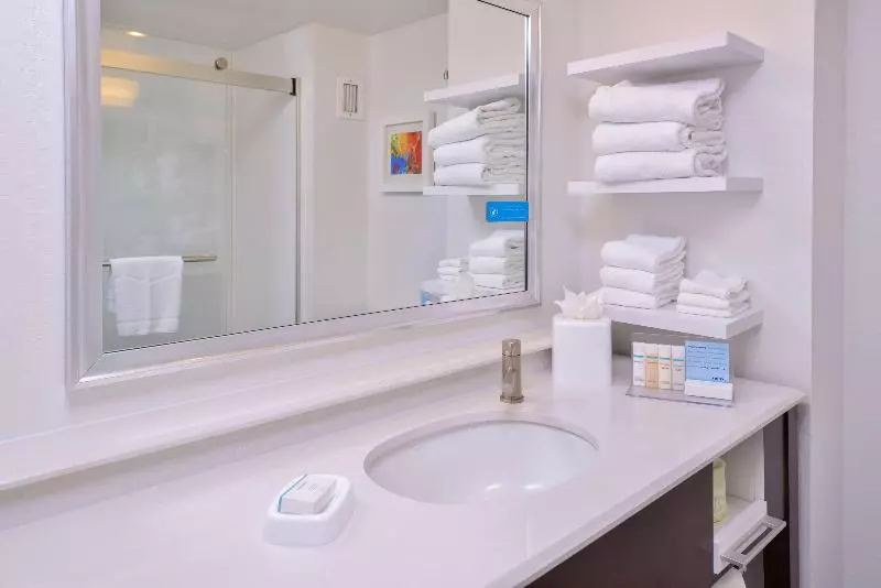 اتاق استاندارد با تخت بزرگ, Hampton Inn Seattle Airport