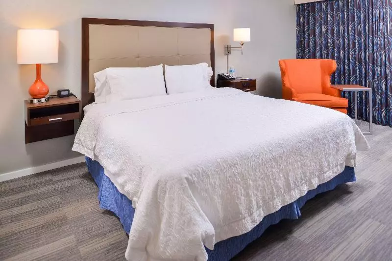 اتاق استاندارد با تخت بزرگ, Hampton Inn Seattle Airport