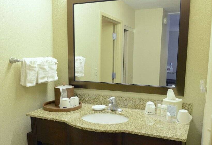 스위트 킹사이즈 침대, Hampton Inn & Suites El Pasoairport