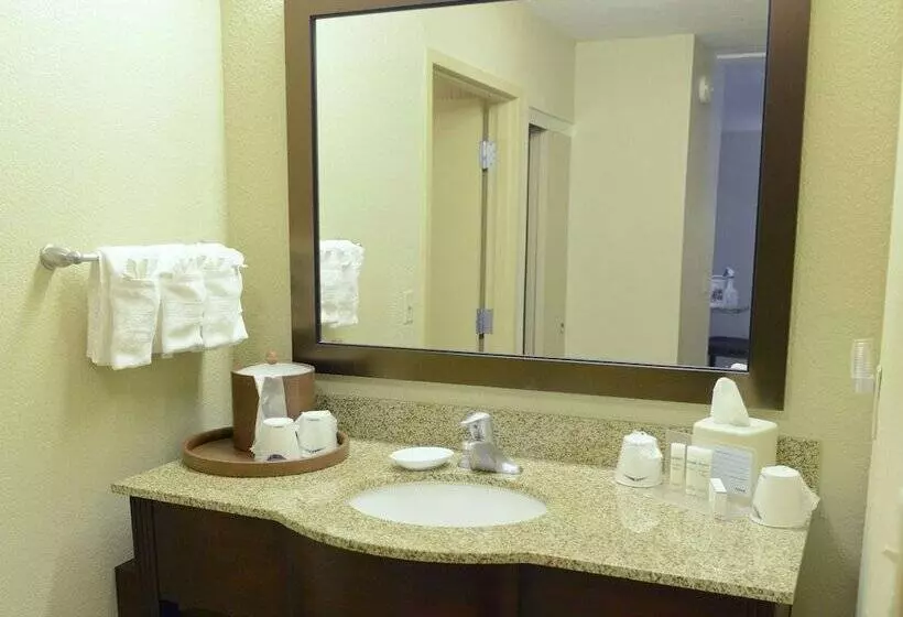 Sviitti King-vuode, Hampton Inn & Suites El Pasoairport