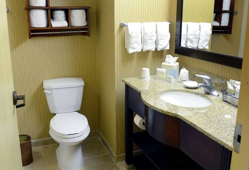 스위트 킹사이즈 침대, Hampton Inn & Suites El Pasoairport