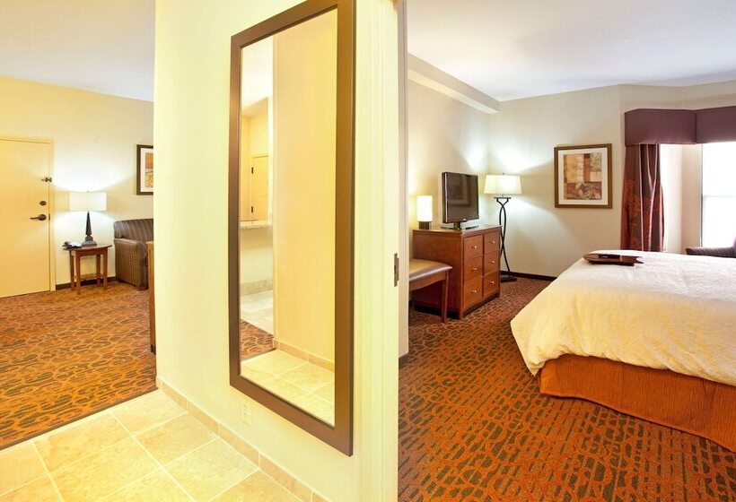 스위트 킹사이즈 침대, Hampton Inn & Suites El Pasoairport