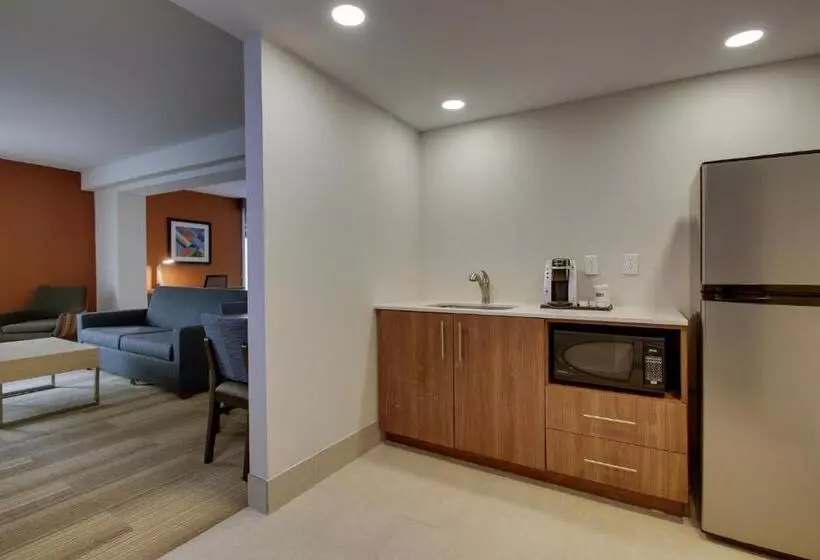 キングサイズベッドのスイートルーム, Holiday Inn Express Voorhees/ Mt. Laurel, An Ihg