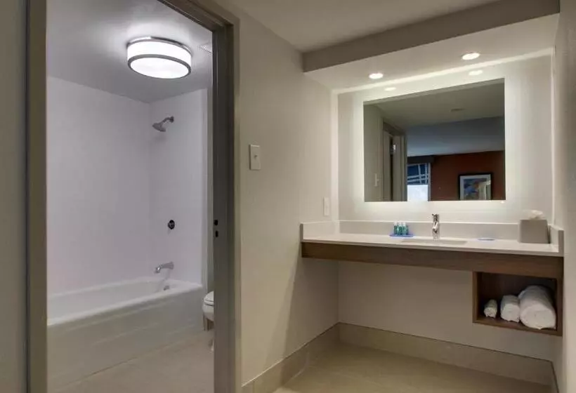 キングサイズベッドのスイートルーム, Holiday Inn Express Voorhees/ Mt. Laurel, An Ihg