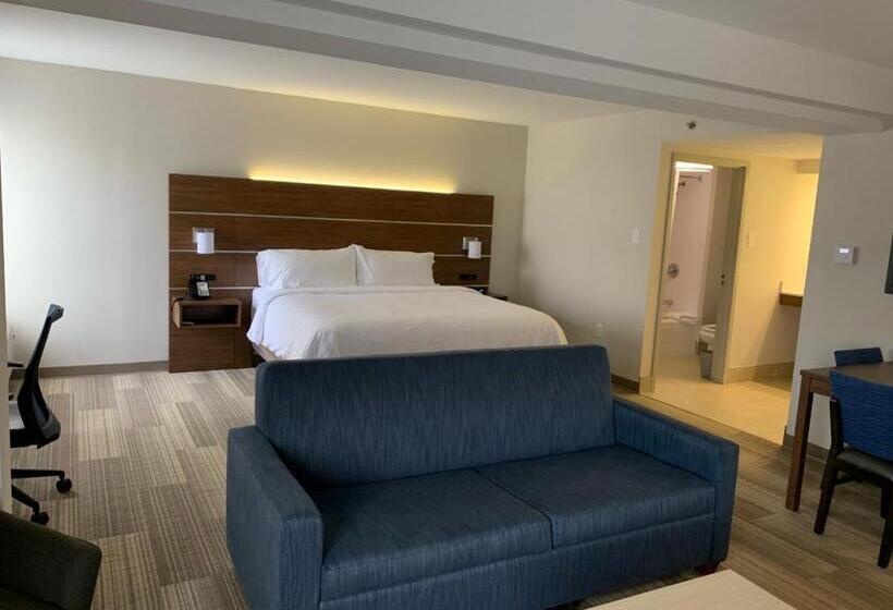 Suite Pat King, Holiday Inn Express Voorhees/ Mt. Laurel, An Ihg