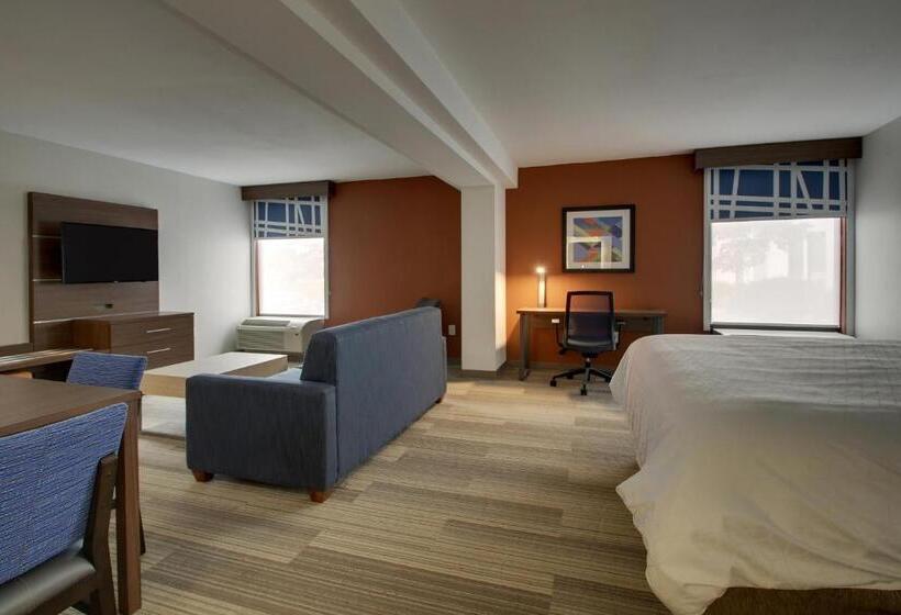Suite Pat King, Holiday Inn Express Voorhees/ Mt. Laurel, An Ihg