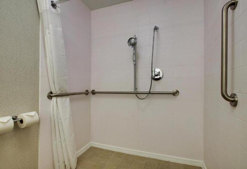 Camera Standard Pat King Adaptată pentru Discapacitaţi, Holiday Inn Express Voorhees/ Mt. Laurel, An Ihg
