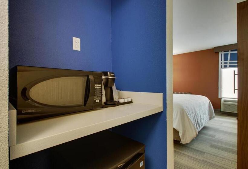 장애인을 위한 킹사이즈 침대 스탠다드 룸, Holiday Inn Express Voorhees/ Mt. Laurel, An Ihg