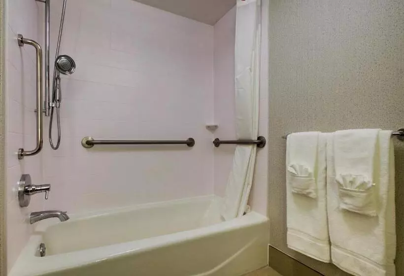 障害者適応デラックスルーム, Holiday Inn Express Voorhees/ Mt. Laurel, An Ihg