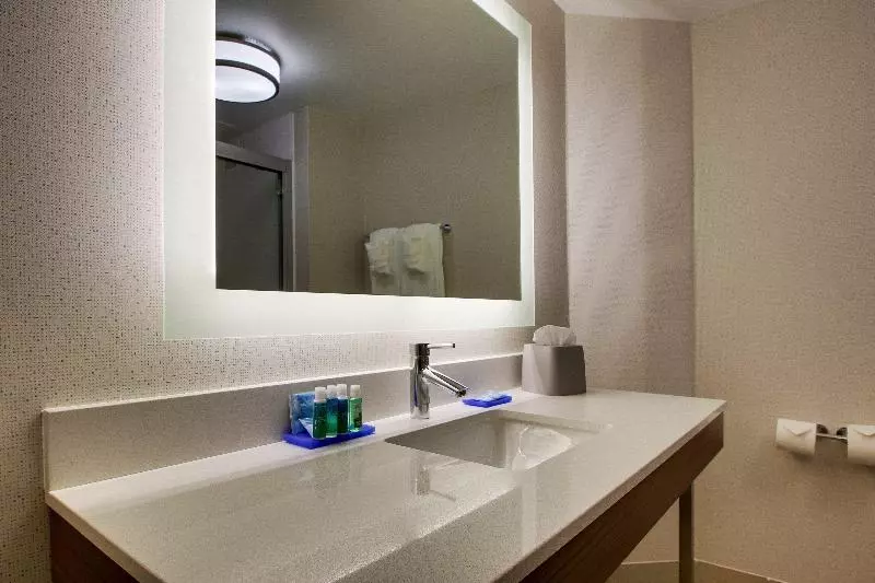 身障者適用キングサイズベッドルーム, Holiday Inn Express Voorhees/ Mt. Laurel, An Ihg