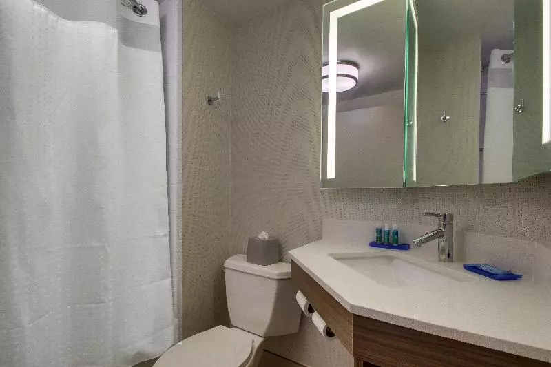 身障者適用キングサイズベッドルーム, Holiday Inn Express Voorhees/ Mt. Laurel, An Ihg