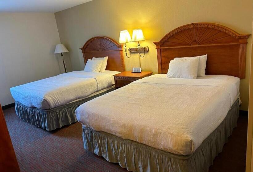 חדר סטנדרט, Orlando Palms