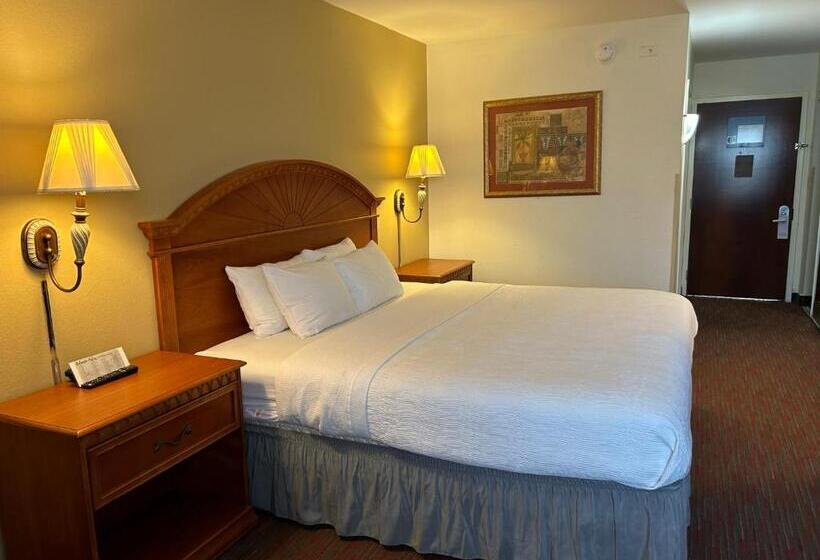 اتاق استاندارد با تخت بزرگ, Orlando Palms