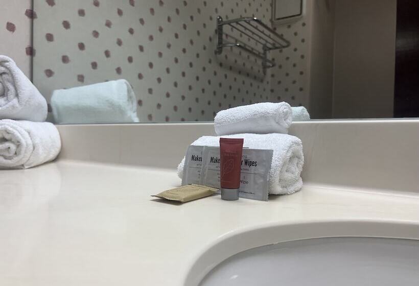 חדר סטנדרט מותאם לאדם עם מוגבלויות, Orlando Palms