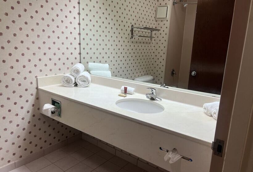 اتاق استاندارد برای معلولان, Orlando Palms