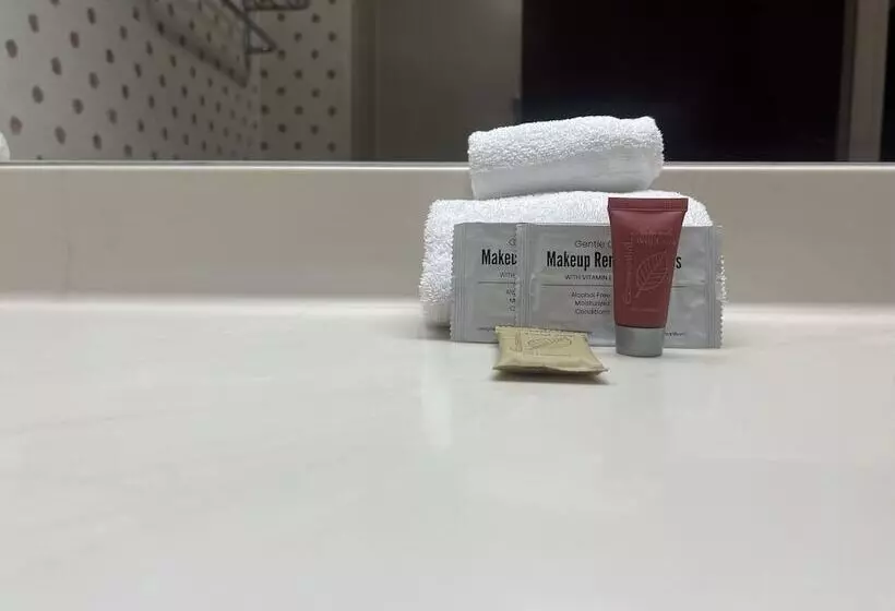 身障者適用シングルルーム, Orlando Palms