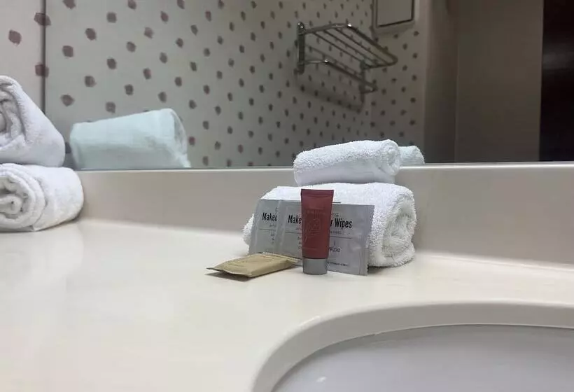 身障者適用シングルルーム, Orlando Palms