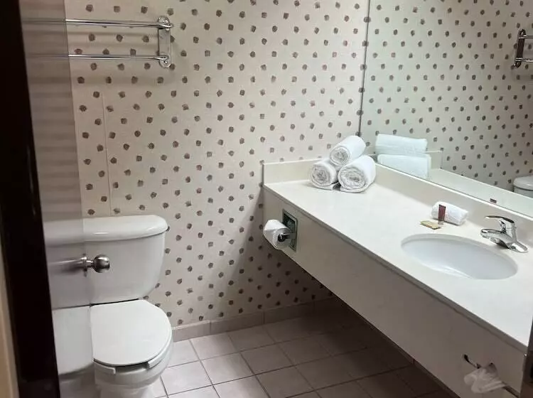 身障者適用シングルルーム, Orlando Palms