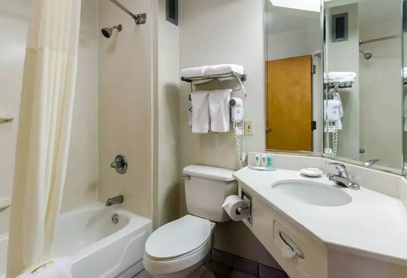 اتاق استاندارد با 2 تخت دوبل, Quality Inn Lynchburg Near University