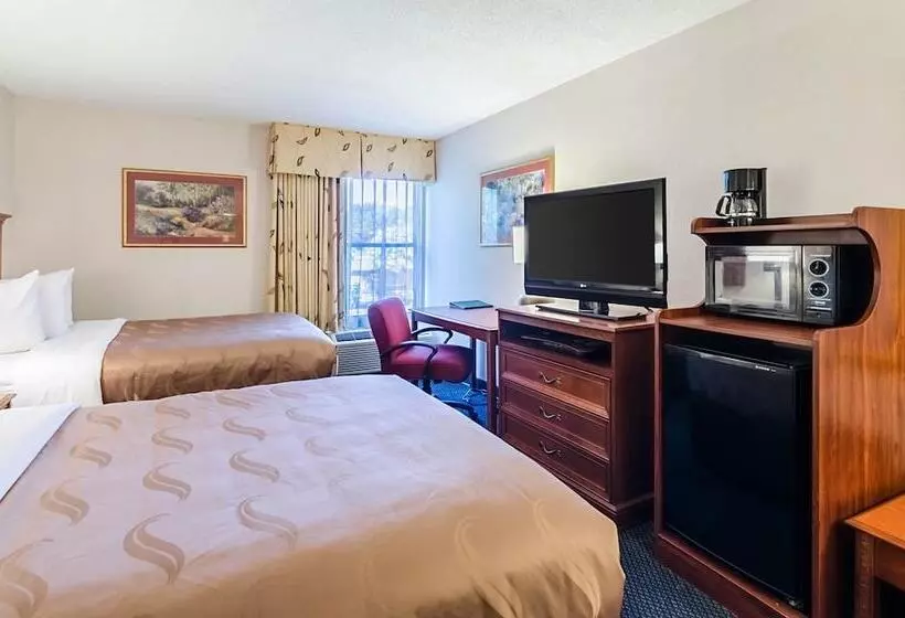 اتاق استاندارد با 2 تخت دوبل, Quality Inn Lynchburg Near University