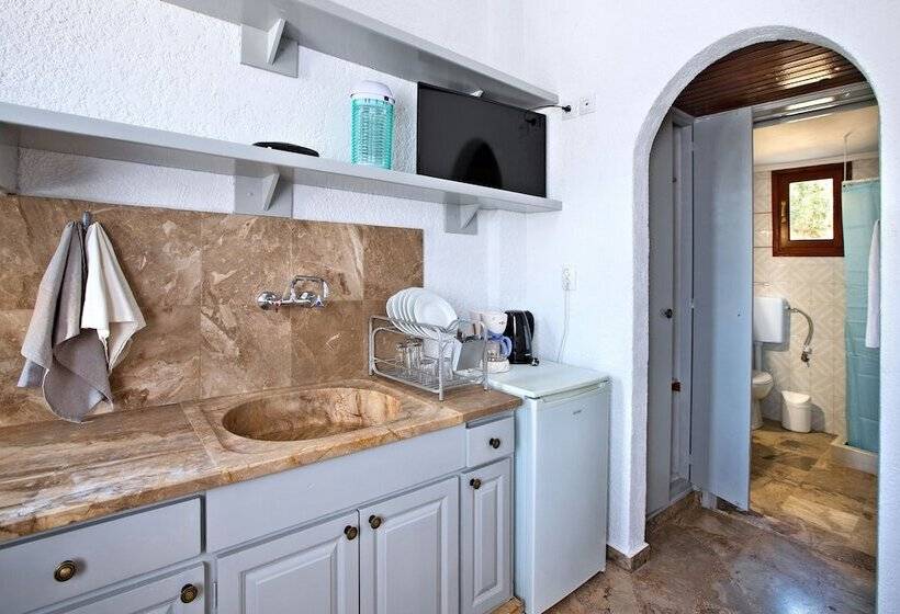 带1个卧室带花园景观的公寓, New Aurora Apts Studios