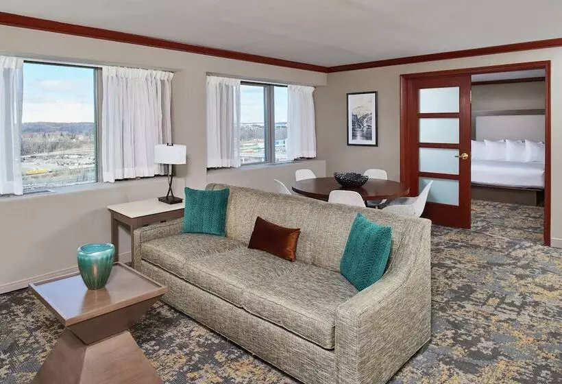 سوئیت با تخت بزرگ, Hilton Anchorage