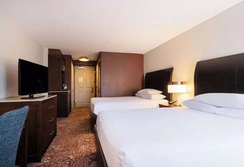 Standard-huone, Hilton Garden Inn Chicago Downtown/magnificent Mile
