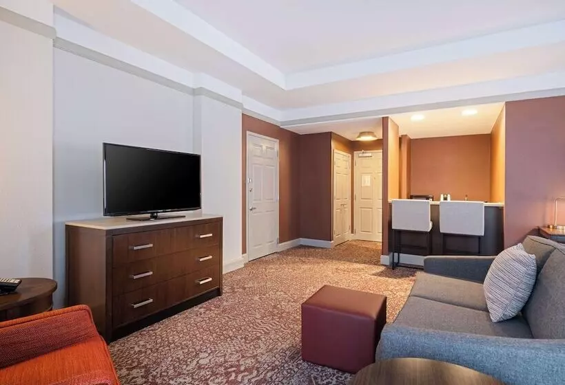 Juniorsviitti, Hilton Garden Inn Chicago Downtown/magnificent Mile