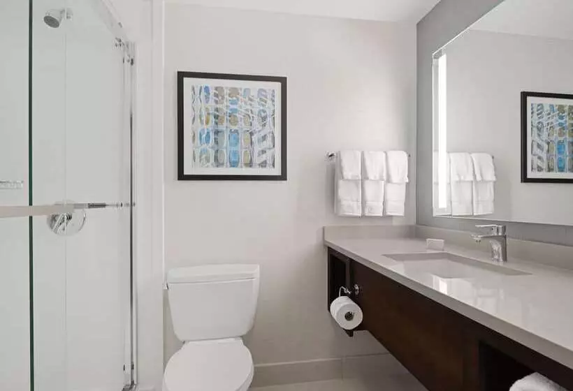 Juniorsviitti, Hilton Garden Inn Chicago Downtown/magnificent Mile