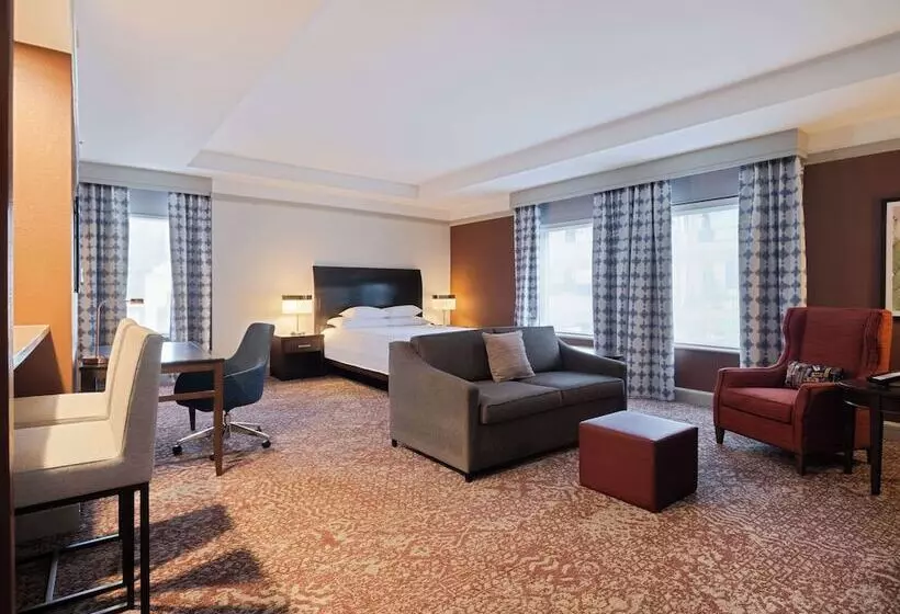 Juniorsviitti, Hilton Garden Inn Chicago Downtown/magnificent Mile
