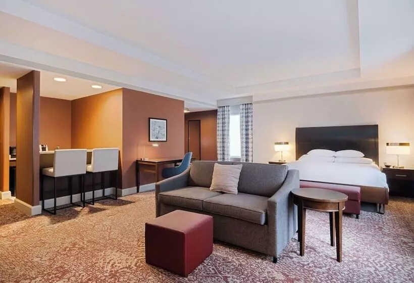 Juniorsviitti, Hilton Garden Inn Chicago Downtown/magnificent Mile