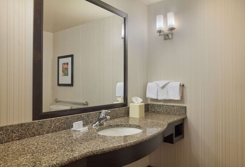 Номер Стандарт, Hilton Garden Inn Hershey