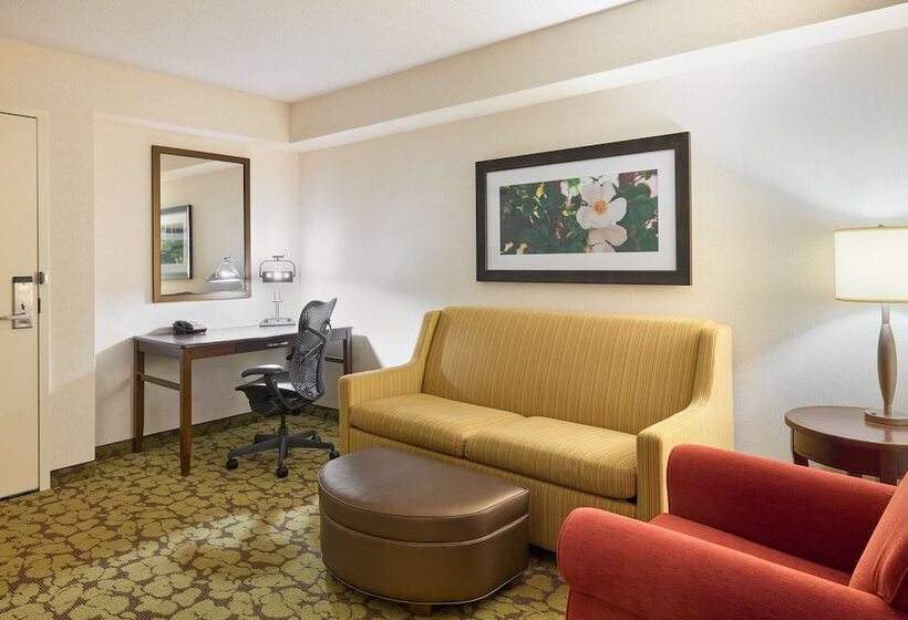 Люкс, Hilton Garden Inn Hershey