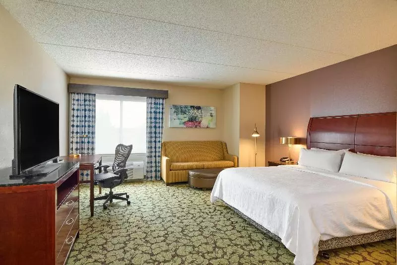 キングサイズベッドのスタンダードルーム, Hilton Garden Inn Hershey